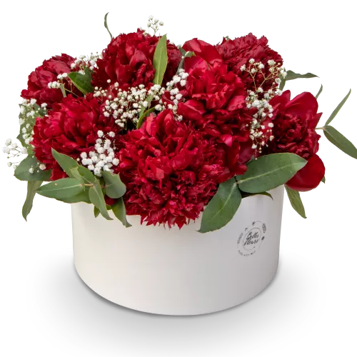 Box červených pivoněk